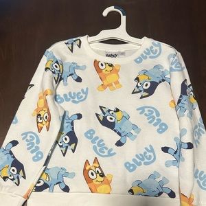 MOOSE Bluey Bingo Long Toddler Boys Sleeve Pullover Sweatshirt White 5T - NWT
